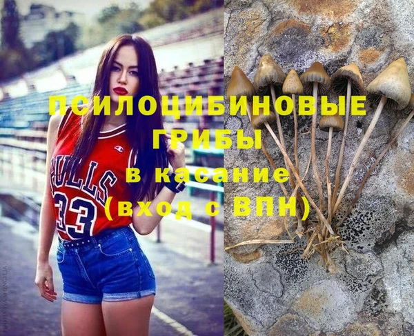 spice Армянск