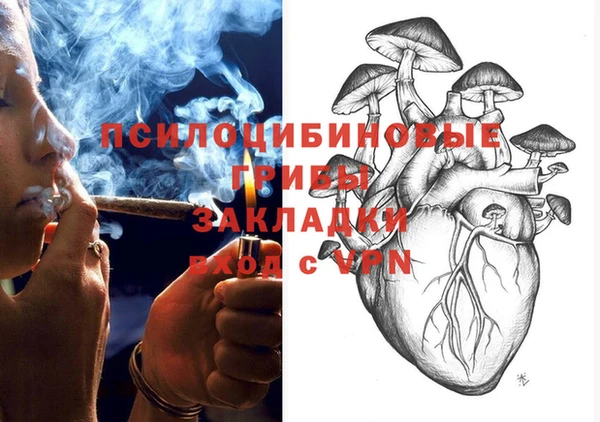 тгк Аркадак