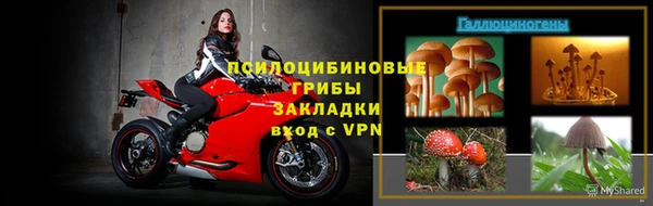тгк Аркадак