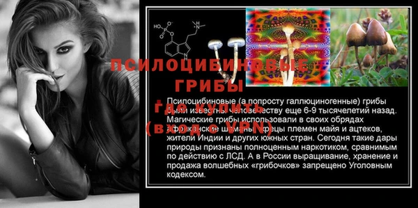 тгк Аркадак