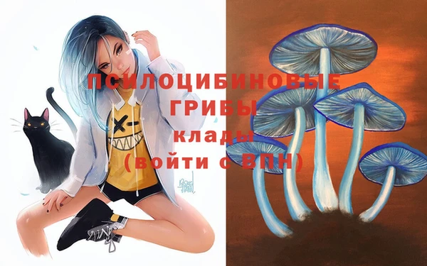 круглые Арсеньев