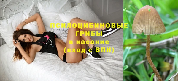 spice Армянск
